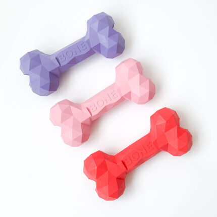 Enrichment Bone – Durable Natural Rubber Chew Toy for Dogs
