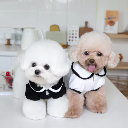 Lovable Bowknot Dog Pet Two Legs Apparel for Fall & Winter