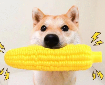 Rubber Teeth Cleaning Dog Chew Toy