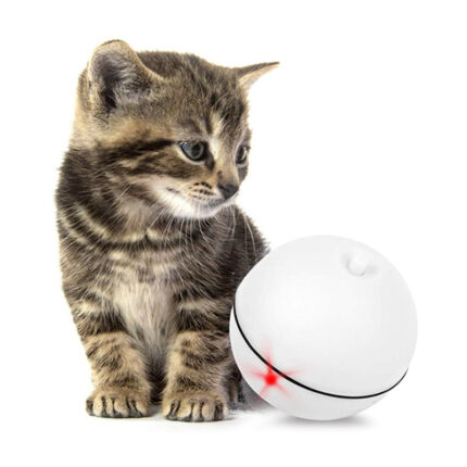 Smart Funny Cat Ball-DD25092